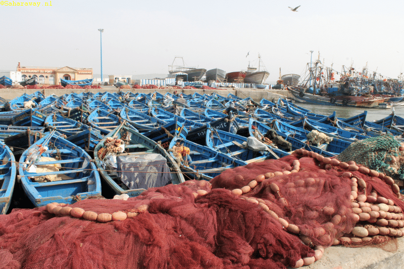 harbor of essaouira with little blue boats and fishing nets