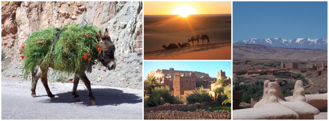 Moroccan travels and desert tours