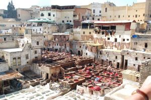 Leerlooierijen in Fes Marokko
