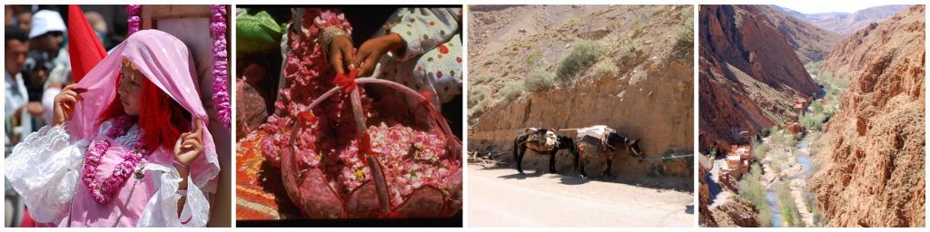 15 daagse rondreis marrakech rozenvallei Atlasgebergte dadelvallei